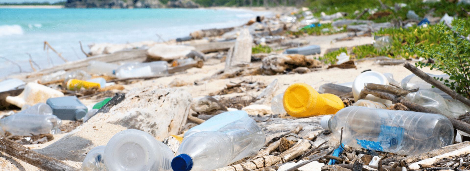 Sohow many plastic water bottles are used every year? — Open Water