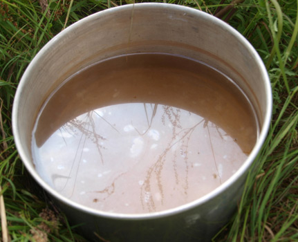 Excessive Manganese can turn water brown.