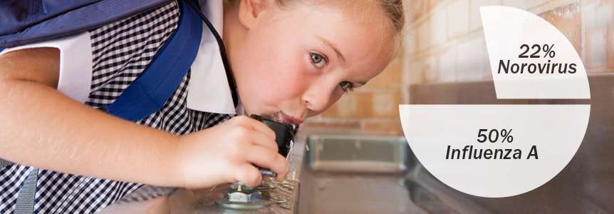 Drinking water fountains contain high risk of germs.